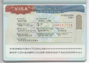 VIKO FLY HƯỚNG DẪN CÁCH PHÂN BIỆT VISA D2 VÀ VISA D4