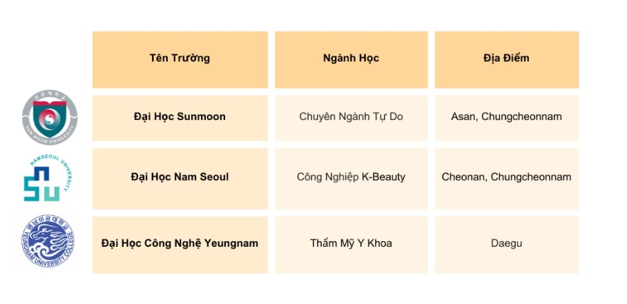 VIKO FLY THAM DỰ HỘI THẢO CHƯƠNG TRÌNH ĐÀO TẠO CHUYÊN GIA K-BEAUTY