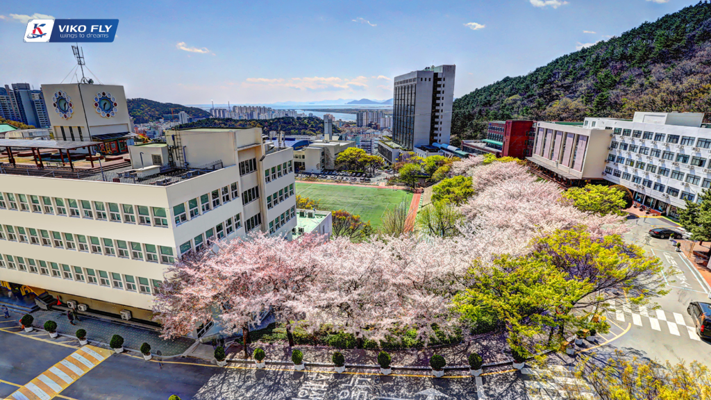 TRƯỜNG ĐẠI HỌC DONG A – 동아대학교 TRƯỜNG ĐẠI HỌC DONG A – 동아대학교