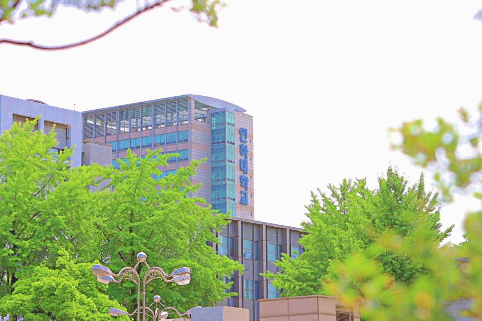 TRƯỜNG ĐẠI HỌC INHA - 인하대학교 TRƯỜNG ĐẠI HỌC INHA - 인하대학교