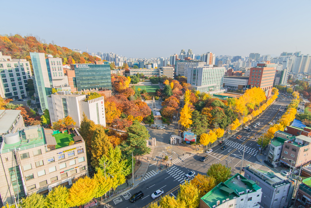 TRƯỜNG ĐẠI HỌC SOGANG – 서강대학교 TRƯỜNG ĐẠI HỌC SOGANG – 서강대학교