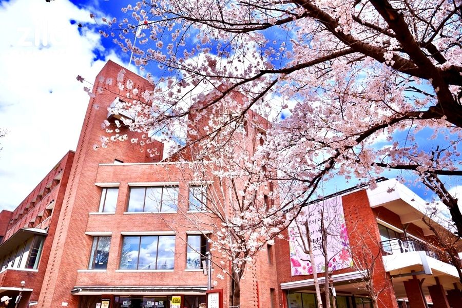 TRƯỜNG ĐẠI HỌC NỮ DUKSUNG – 덕성여자대학교