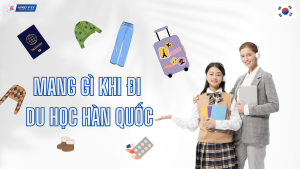 mang gì khi đi du học hàn quốc